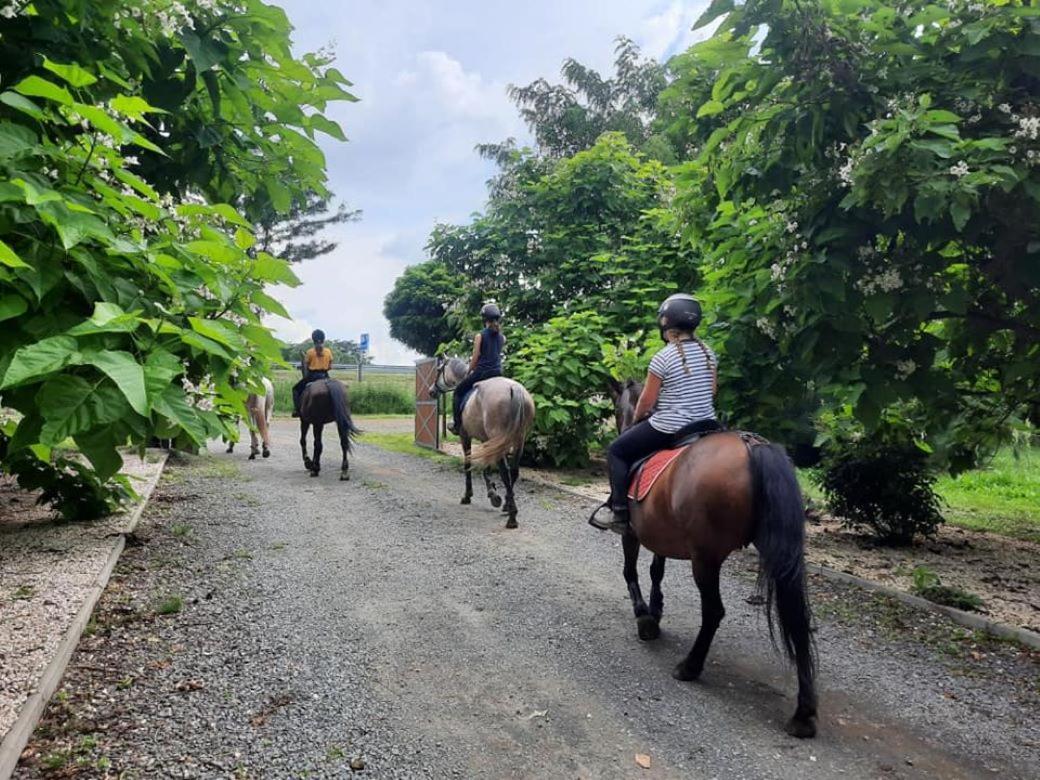 Caballus Lovasmajor Panzio Nyíregyháza Esterno foto