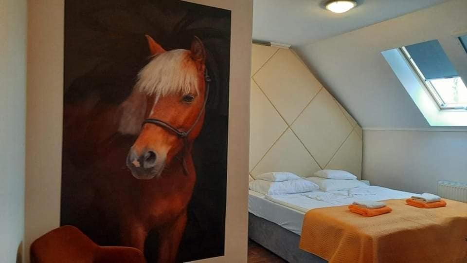 Caballus Lovasmajor Panzio Nyíregyháza Esterno foto